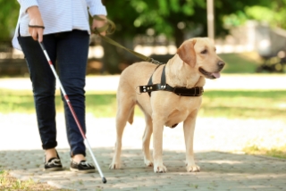 補助犬について