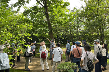 第306回 観察会「くらしの植物苑の菌類と植物」